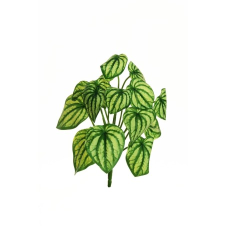 Lot de 24 - Buisson artificiel de peperomia toucher réel impression 3D X15, 33 cm - vert crème 
