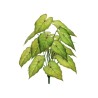 Lot de 24 - Buisson artificiel d'alocasia toucher réel X18, 60 cm - vert clair 