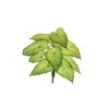 Lot de 24 - Buisson artificiel d'alocasia toucher réel X12, 47 cm - vert clair 