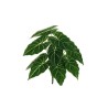 Lot de 24 - Buisson artificiel d'alocasia toucher réel X12, 47 cm - vert crème 