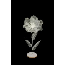 Lot de 6 - Petit coquelicot artificiel organza sur socle bois D. 40 cm, 100 cm - blanc 
