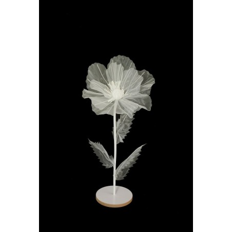 Lot de 6 - Petit coquelicot artificiel organza sur socle bois D. 40 cm, 100 cm - blanc 