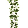 Lot de 12 - Guirlande artificielle de lierre, 170 cm - panaché 