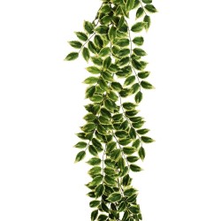 Lot de 12 - Guirlande artificielle de mahonia, 200 cm - vert jaune 