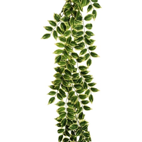 Lot de 12 - Guirlande artificielle de mahonia, 200 cm - vert jaune 