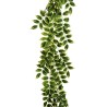 Lot de 12 - Guirlande artificielle de mahonia, 200 cm - vert jaune 