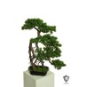 Lot de 2 - Bonsaï artificiel de pin Ming anti-UV en pot rectangulaire, 72 cm - vert 