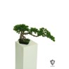 Lot de 4 - Bonsaï artificiel de pin Ming anti-UV en pot rectangulaire, 35 cm - vert 