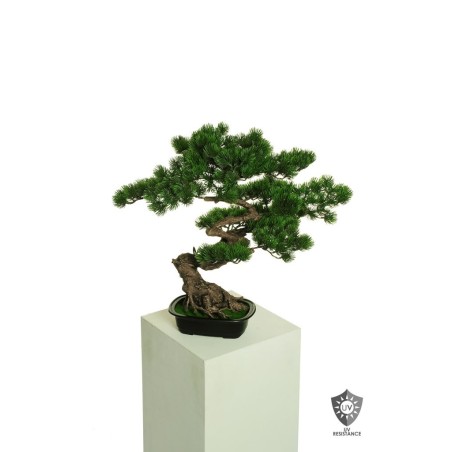 Lot de 4 - Bonsaï artificiel de pin Ming anti-UV en pot rectangulaire, 50 cm - vert 