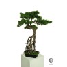 Lot de 2 - Bonsaï artificiel de pin Ming anti-UV en pot rectangulaire, 76 cm - vert 