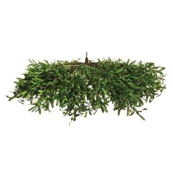 Olivier artificiel suspendu en parasol avec branches et fruits D. 140 cm - vert 