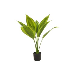 Lot de 4 - Plante artificielle calathea picturata toucher réel en pot, 70 cm - vert crème 