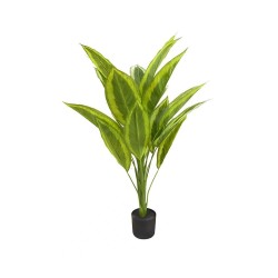 Lot de 4 - Plante artificielle calathea picturata toucher réel en pot, 120 cm - vert crème 