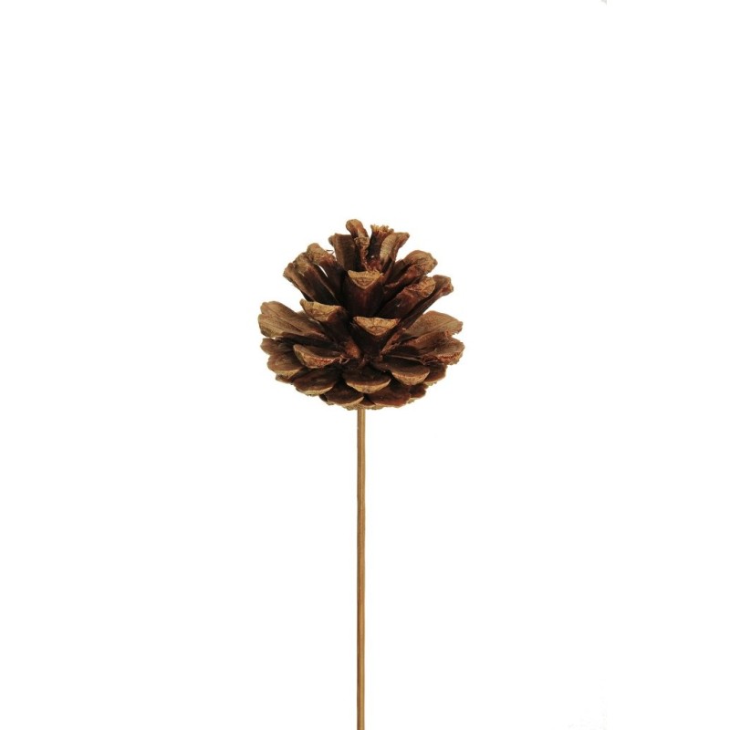 Lot de 144 - Pic artificiel de pomme de pin naturelle sur bâton bois D. 5 cm, 23 cm - marron 