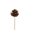 Lot de 144 - Pic artificiel de pomme de pin naturelle sur bâton bois D. 5 cm, 23 cm - marron 