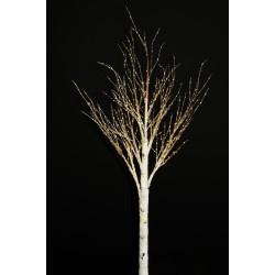 Lot de 4 - Bouleau artificiel lumineux 650 LED sur socle bois, 180 cm - blanc 