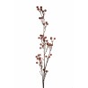 Lot de 24 - Tige artificielle de baies d'automne, 83 cm - marron rouille 