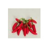 Lot de 24 - Petit piment artificiel, 9,5 cm - rouge 