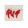 Lot de 32 - Gros piment artificiel, 14,5 cm - rouge 
