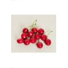 Lot de 48 - Double cerise artificielle, 6,5 cm - rouge 