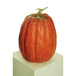 Lot de 2 - Citrouille ovale artificielle aspect naturel D. 27 cm, H. 35 cm - orange 