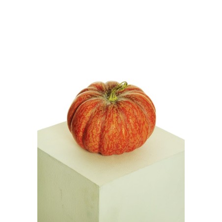 Lot de 6 - Citrouille artificielle aspect naturel D. 21 cm, H. 17,5 cm - orange 