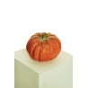 Lot de 6 - Citrouille artificielle aspect naturel D. 21 cm, H. 17,5 cm - orange 