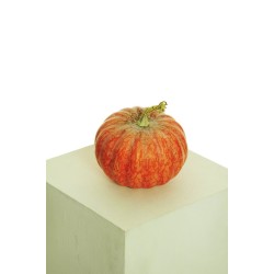 Lot de 12 - Citrouille artificielle aspect naturel D. 17 cm, H. 15,5 cm - orange 