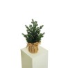 Lot de 4 - Sapin artificiel de Noël en pot toile de jute, 50 cm - vert 