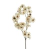 Lot de 24 - Tige artificielle de coréopsis, 78 cm - crème 