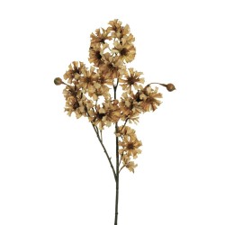 Lot de 24 - Tige artificielle de coréopsis, 78 cm - marron clair 