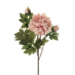 Lot de 24 - Tige artificielle de pivoine X2, 64 cm - rose 