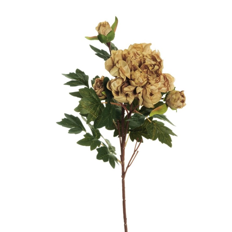Lot de 24 - Tige artificielle de pivoine X2, 64 cm - marron clair 