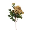 Lot de 24 - Tige artificielle de pivoine X2, 64 cm - marron clair 