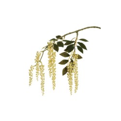 Lot de 12 - Tige suspendue artificielle de phytolacca caoutchouc X2, 75 cm - crème 