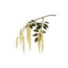 Lot de 12 - Tige suspendue artificielle de phytolacca caoutchouc X2, 75 cm - crème 