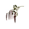 Lot de 12 - Tige suspendue artificielle de phytolacca caoutchouc X2, 75 cm - bordeaux 