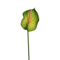 Lot de 24 - Anthurium artificiel caoutchouc, 69 cm - vert rose 
