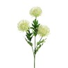 Lot de 24 - Tige artificielle de cordyfolium X3, 66 cm - crème 
