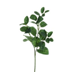 Lot de 24 - Tige artificielle de fittonia albivenis toucher réel X3, 66 cm - vert gris 