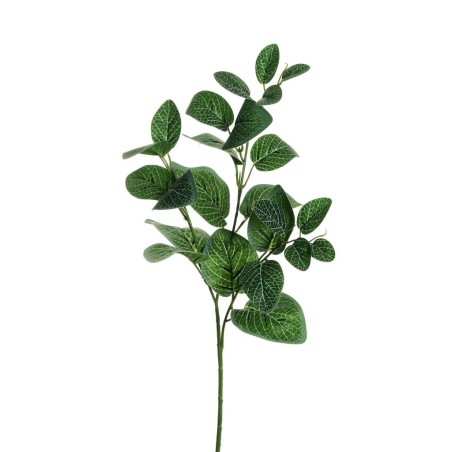 Lot de 24 - Tige artificielle de fittonia albivenis toucher réel X3, 66 cm - vert gris 