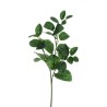 Lot de 24 - Tige artificielle de fittonia albivenis toucher réel X3, 66 cm - vert gris 