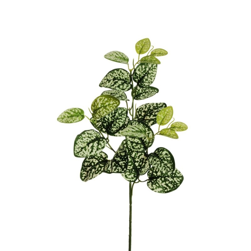 Lot de 24 - Tige artificielle de scindapsus pictus toucher réel X3, 66 cm - vert crème 