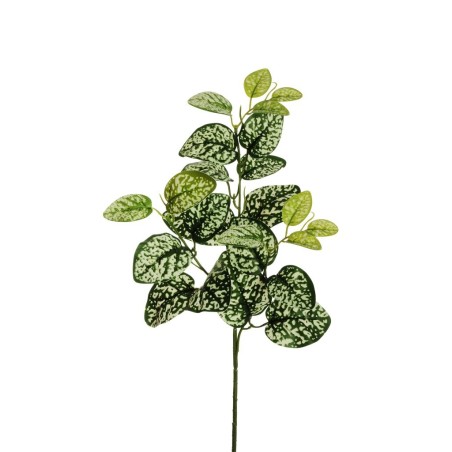 Lot de 24 - Tige artificielle de scindapsus pictus toucher réel X3, 66 cm - vert crème 