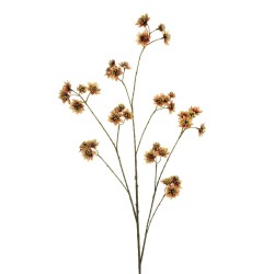 Lot de 12 - Branche artificielle d'astrantia, 120 cm - marron crème 
