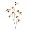 Lot de 12 - Branche artificielle d'astrantia, 120 cm - marron crème 