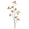 Lot de 12 - Branche artificielle d'astrantia, 120 cm - rose crème 