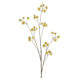 Lot de 12 - Branche artificielle d'astrantia, 120 cm - crème 