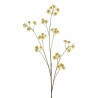 Lot de 12 - Branche artificielle d'astrantia, 120 cm - crème 