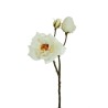 Lot de 24 - Tige artificielle de rose dogwood toucher réel X3, 60 cm - blanc 
